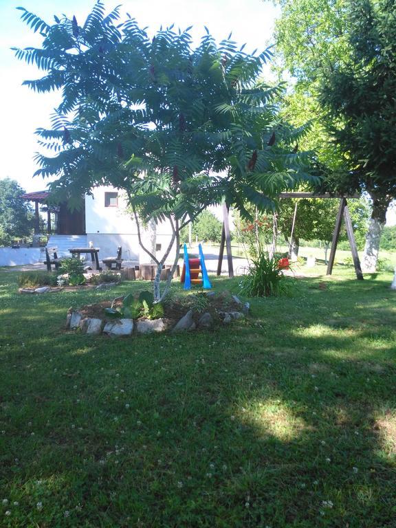 Guest House Antonela Smoljanac Rom bilde