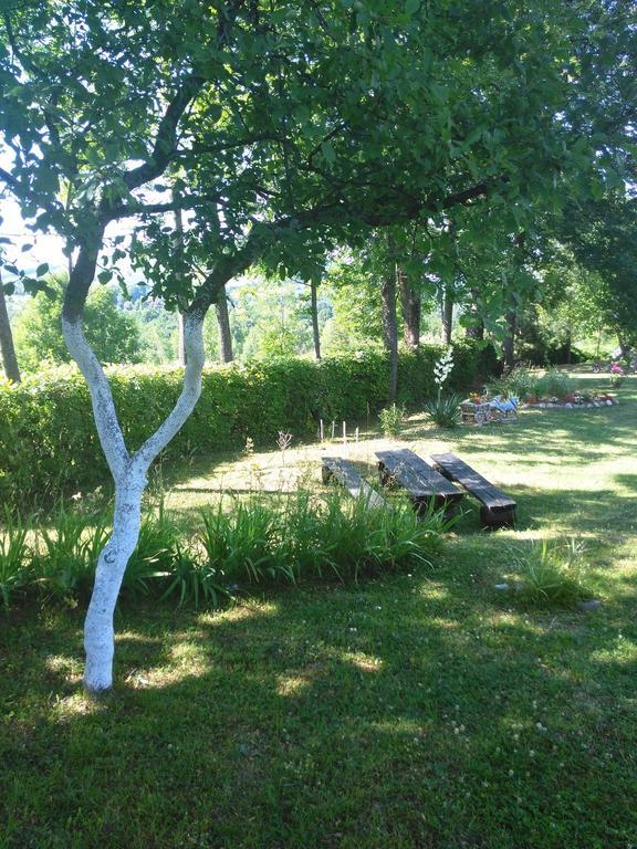 Guest House Antonela Smoljanac Rom bilde