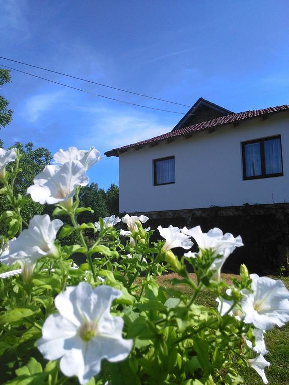 Guest House Antonela Smoljanac Rom bilde