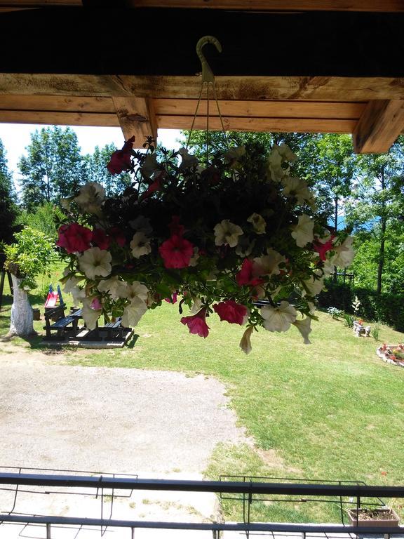 Guest House Antonela Smoljanac Rom bilde