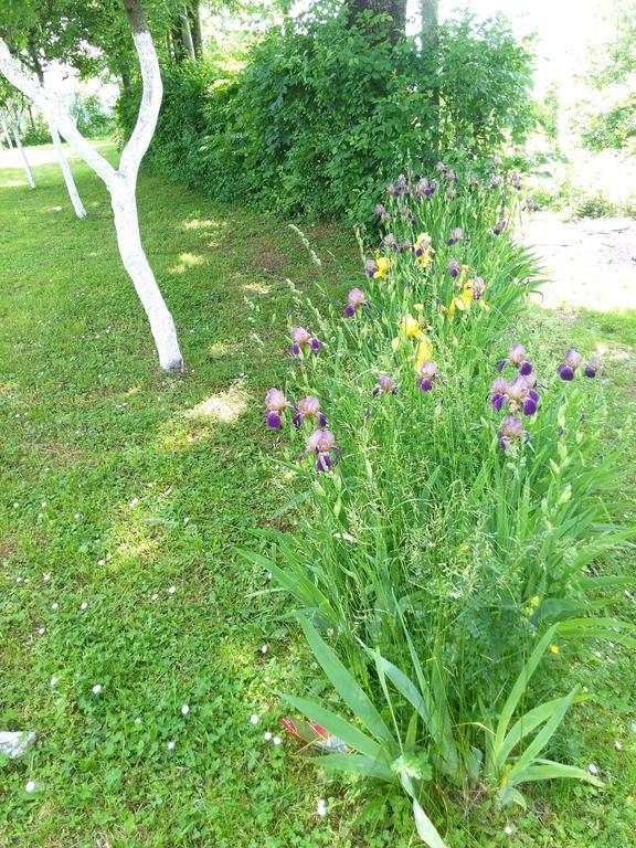 Guest House Antonela Smoljanac Rom bilde