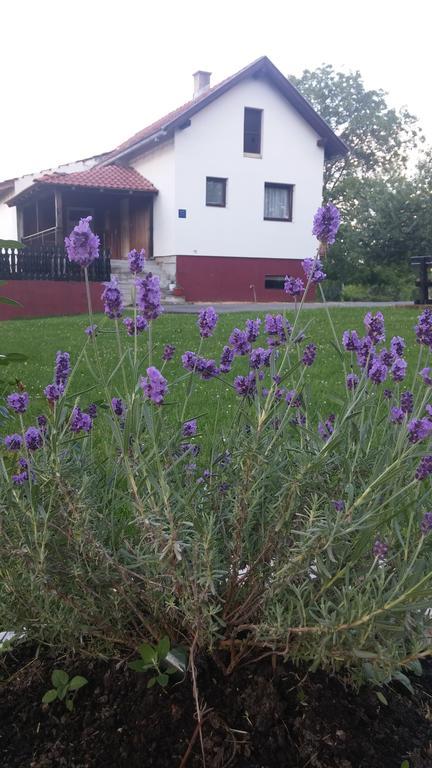 Guest House Antonela Smoljanac Eksteriør bilde